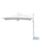 Galileo Starwhite Galileo Starwhite