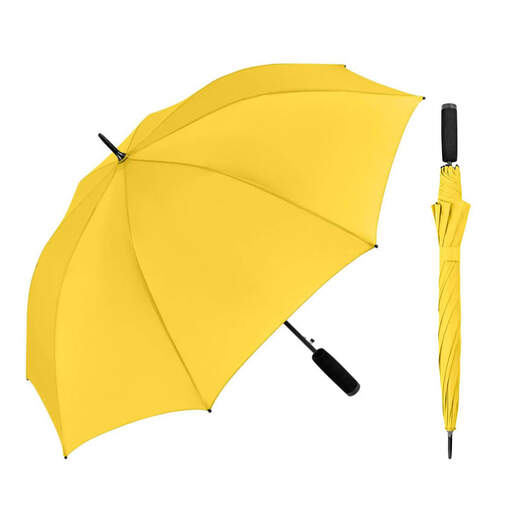 Klassischer Automatik-Stockschirm